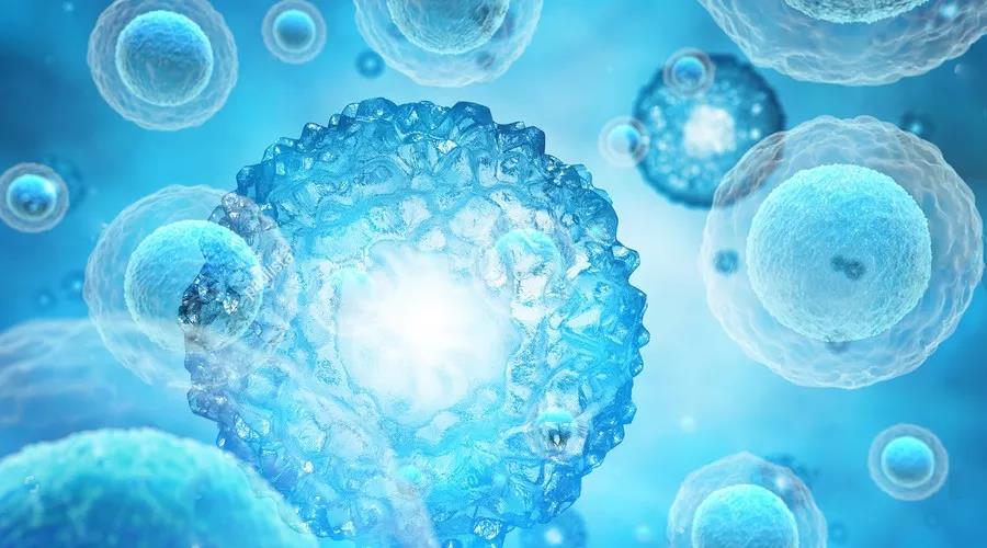 微信图片_20211216085455